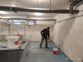 Obrázek - Výmalba sklepů a instalace nových zárubní a dveří.